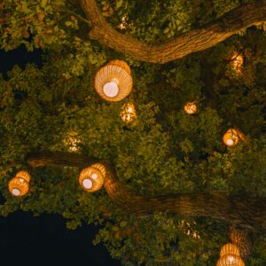 Outdoor lights